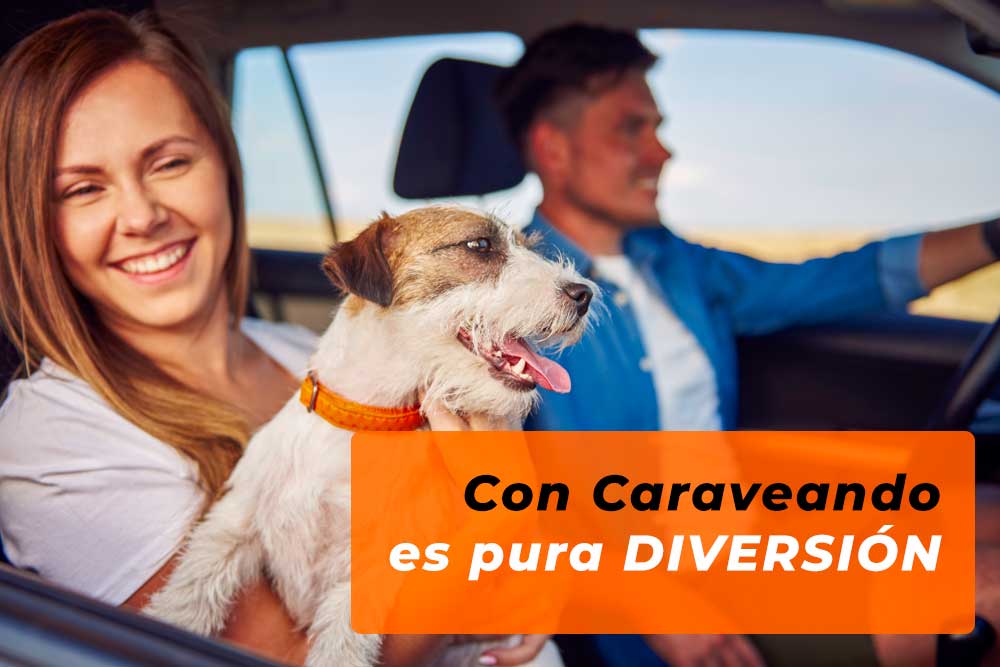 A boy drives a rented car in Castelldefels, and next to him there is a girl with a dog in her arms.