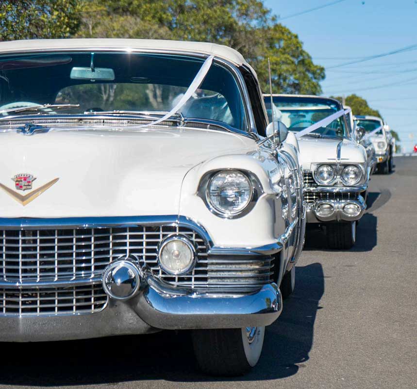 Courtly procession of cars